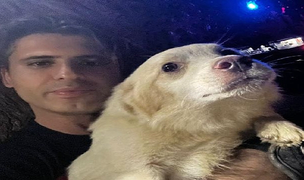 Bir aydır kayıp olan Pamuk’u İzmir İtfaiyesi sahibine kavuşturdu