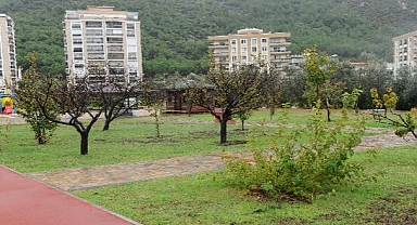 Karşıyaka Meyve Bahçeleriyle Renkleniyor