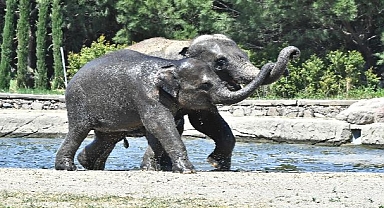 Doğal Yaşam Parkı’na pazartesi molası 