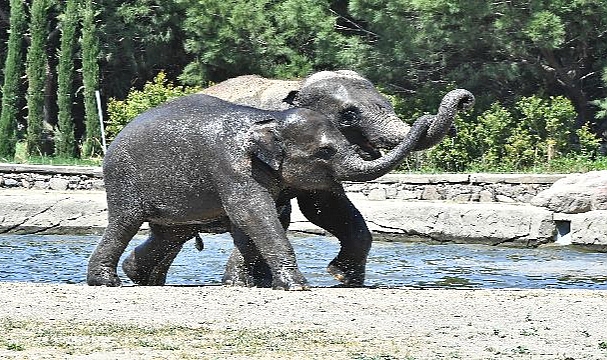 Doğal Yaşam Parkı’na pazartesi molası