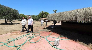 Başkan Çiçek Sahada