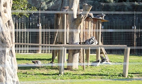 Sömestr Menderesli Çocuklara Güzel